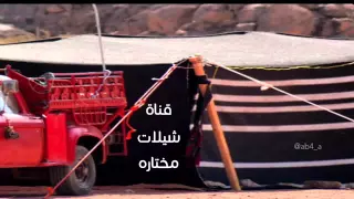 شيله ياللي تقول الحب حب المزايين دندنها