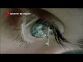 Candy Lo & Leehom Wang - 好心分手