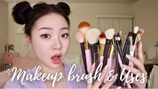 MAKEUP BRUSHES THEIR USES FOR BEGINNERS