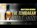 Download Lagu LANGSUNG EMOSI ‼️ PANCINGAN MURAI BATU GACOR PAGI - SIANG - MALAM AMPUH DONGKRAK EMOSI
