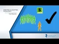 Understanding the CCSD Budget