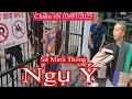 Download Lagu Sư Minh Thông và đôi điều muốn gởi...Thực tế đời sống và ẩm thực đường phố Ấn Độ 03/07/2025