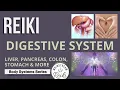 Reiki for Your Digestive System in Series