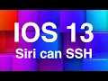 Siri Can run SSH Commands