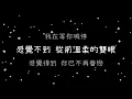 梁靜茹  失憶《歌詞》