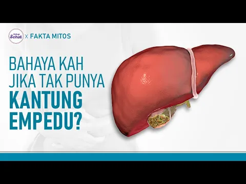 Bisakah Seseorang Hidup Normal Tanpa Kantung Empedu?
