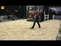 NRHA Markel Futurity Sales OKC OK 2024