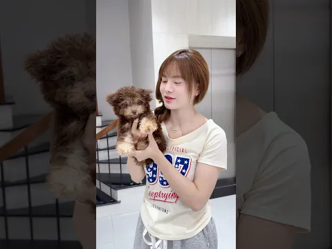 Thái Độ Của Mẹ Sau 1 Tháng Nuôi Chó | Tiểu Ngáo #Shorts