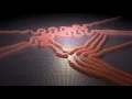 Reaction Diffusion with Shader Graph Instancing