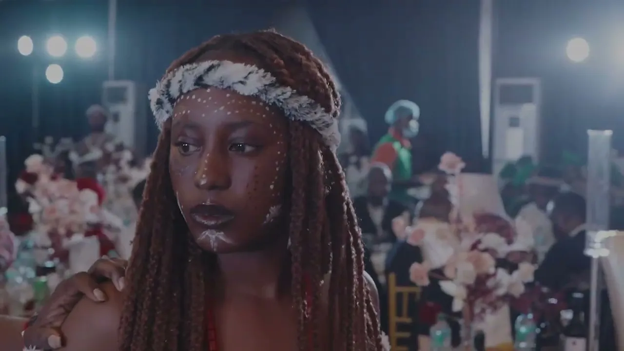 Cinematographer / Editor / Colorist