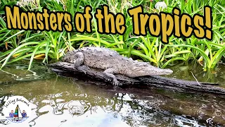 Monsters of the Tropics! Sailing Bohemia Ep.60