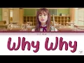 Download Lagu Why Why  (왜요) - Shannon (섀넌) | Lirik Lagu Terjemahan Indonesia (HAN/ROM/INA) by Lily Hale