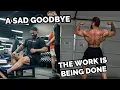 BUILDING A THICC BACK BITTERSWEET ANNOUNCEMENT
