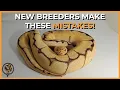 Ball Pythons 10 Mistakes New Breeders and Owners Make