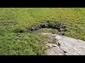 New springs appear along the Devils River during drought