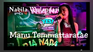 Download lagu bugis 2020 live Manu temmataratae  cover nabila wulandari bersama Ria Nada Entertaiment MP3