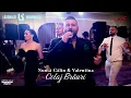 Download Lagu Lazarica Imbrescu \u0026 Banat Express - Colaj Brauri  | Nunta Calin si Valentina