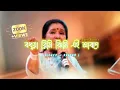 Lagu Bodhua Rimi jhimi Lofi Song Asha Bhosle ।। Bangla gaan ।। Slowed + Reverb ।। Ss Music Studio