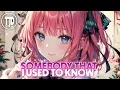 Download Lagu Nightcore - Somebody That I Used To Know | LEDDO, HALUNA COVER (Lyrics)