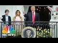 President Donald Trump Hosts White House Easter Egg Roll NBC News
