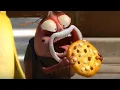 Download Lagu LARVA | LUCU Kompilasi | Kartun Anak | LARVA Full Episodes