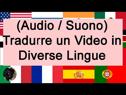 Download MP3 Come tradurre un video in diverse lingue.  Questo include l'audio e il suono.