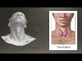 Download Lagu Basics of Thyroid Ultrasound