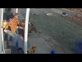 Mom wrestles rabid raccoon away from daughter s leg