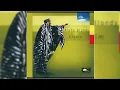 Download Lagu 📀 Alpha Blondy - Elohim (Full Album)
