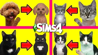 CREO a mis GATOS Y PERROS en los SIMS 4 | Momentos divertidos con mascotas