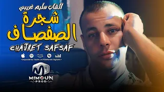 الشاب سليم غريبي شجرة الصفصاف Chajret Safsaf Cheb Salim Gheribi Ft Faycel Maestro 