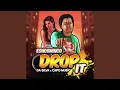 Download Lagu Drop It