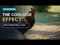 The Coolidge Effect What Science Really Says About Desire and Novelty Full Documentary