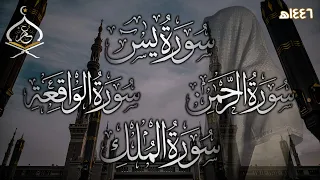 سورة يس سورة الرحمن سورة الواقعة سورة الملك للرزق والبركة باذن الله بصوت القارئ عمر ضياء الدين 