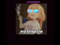 Gaiola è o troco • LETRA