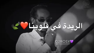 محمود عبد العزيز    حليوه يا بسامه دندنها