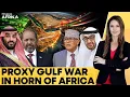 Lagu Horn of Africa Turns into a Battleground for Saudi Arabia-UAE Proxy War | Firstpost Africa | N18G