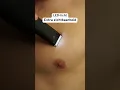 De beste tool om je bush te temmen