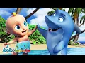 Download Lagu Bayi Hiu  | Baby Shark duu duu - Lagu Anak Anak | LooLoo Indonesia