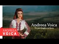 Download Lagu Andreea Voica - Te joci bagita cu focu (NOU 2018)