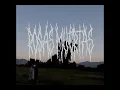 DUMB BOI - ROSAS MUERTAS (p.dltzk)