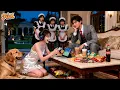 Download Lagu CEO Ignored Wife For Lover! Unexpectedly, She Snacked \u0026 Gamed Unbothered! Completely Captivated!