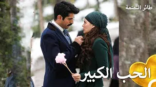 أنا محظوظة بالحب! | طائر النمنمة