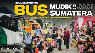 bus langganan penumpang sumatera diserbu ratusan pemudik langsung full seat mudik lebaran 2023