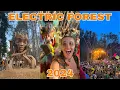 Electric Forest 2024 My Experience