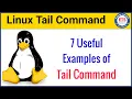 7 Useful Examples of Tail Linux Command Tail Command in Unix Working with tail command in Linux