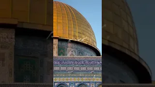 عيناها نزفها مشتكاها آن م آ ف رج رب ن آ ق ري ب 