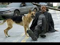 Bob Marley 3 Little Birds I am Legend