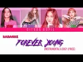 BLACKPINK-FOREVER YOUNG Karaoke instrumental \u0026 easy lyircs
