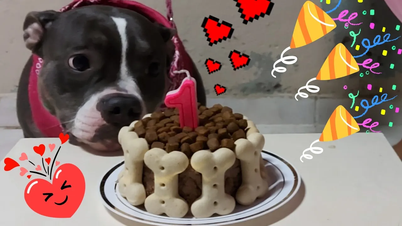 RECEITA DE BOLO PARA CACHORRO
